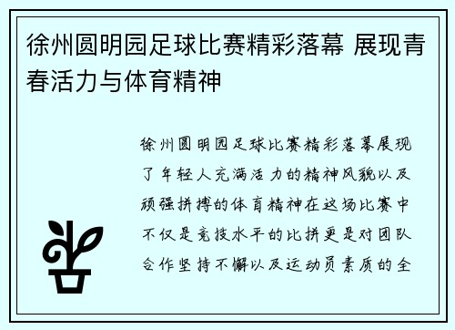 徐州圆明园足球比赛精彩落幕 展现青春活力与体育精神
