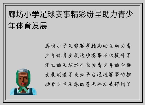 廊坊小学足球赛事精彩纷呈助力青少年体育发展